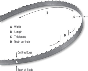 Band saw blade with blade terms and where they are located. Includes: width, length, thickness, tooth per inch, cutting edge, and back of blade